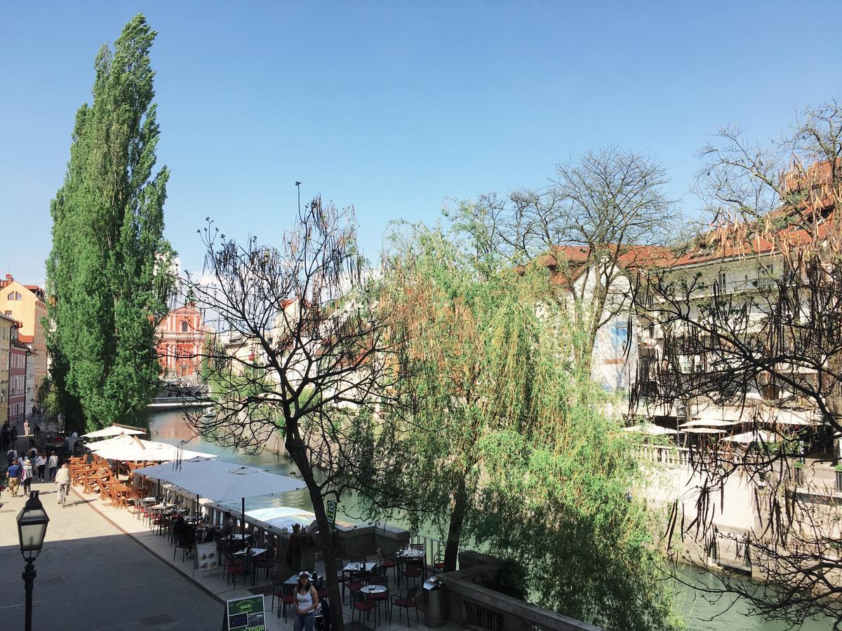 River And Castle View Apartment Rose Tour As Lublana Zewnętrze zdjęcie